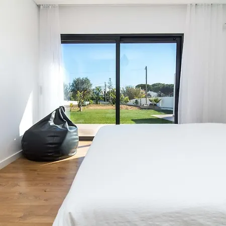 Videira By Dalma Portuguesa - By Dalma Portuguesa *