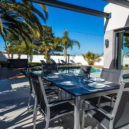 Videira By Dalma Portuguesa - By Dalma Portuguesa